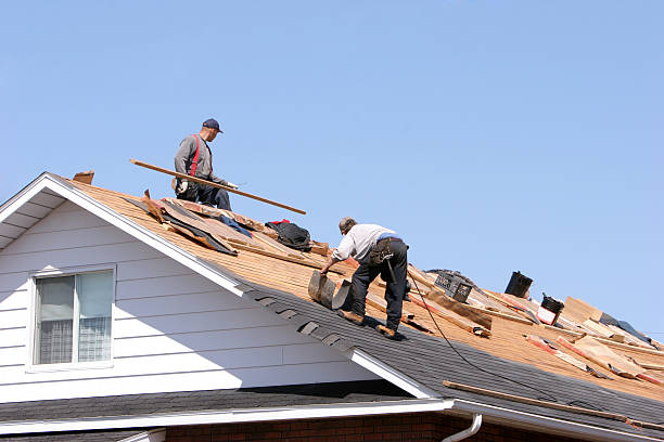 Best Sheet Metal Roofing  in Hemlock Farms, PA